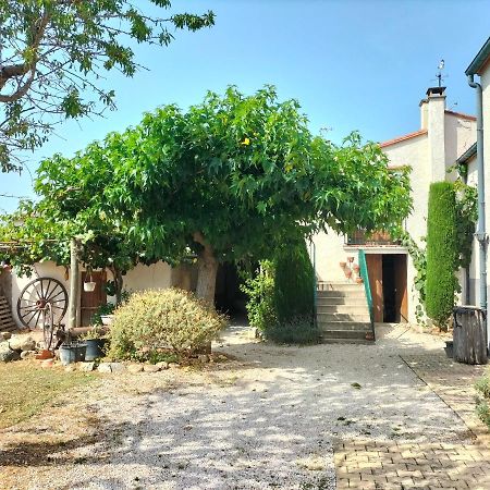 L'Habitacio De Can Rufa Maureillas Luaran gambar